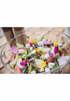 LEONARDO Schale "Cucina Optic", 3,6 L Gesamt: Durchmesser 26cm -KARAFFEN-KRUEGE Verkäufe unnamed file 1236